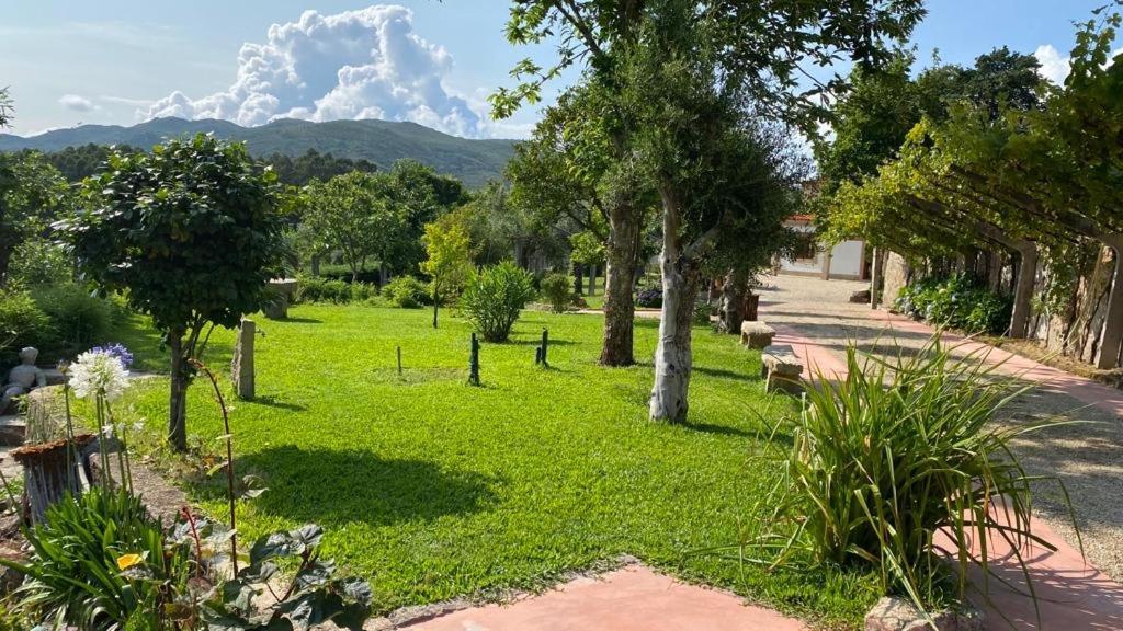Quinta Dos Amores Ponte de Lima Exteriör bild