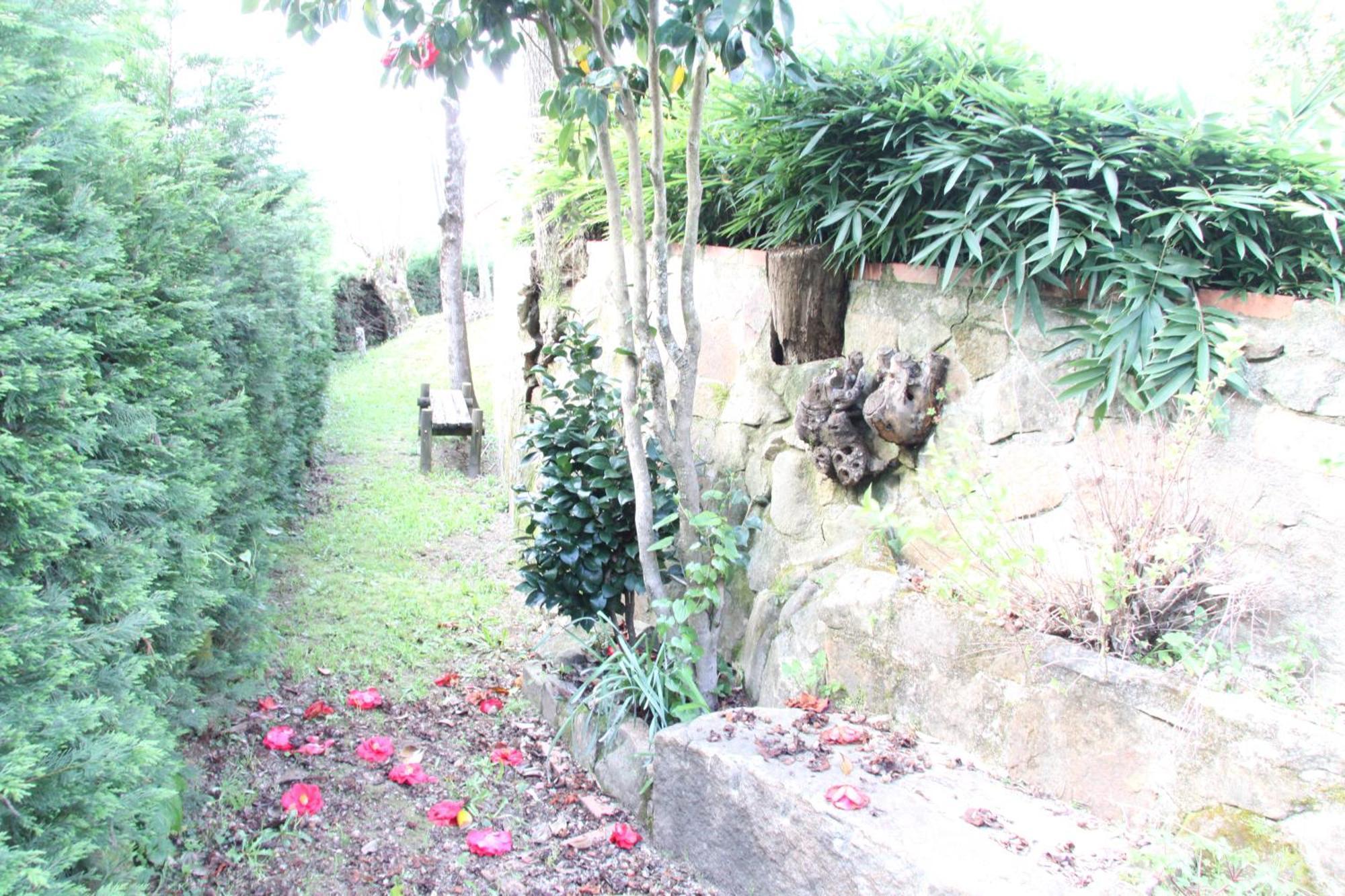 Quinta Dos Amores Ponte de Lima Exteriör bild